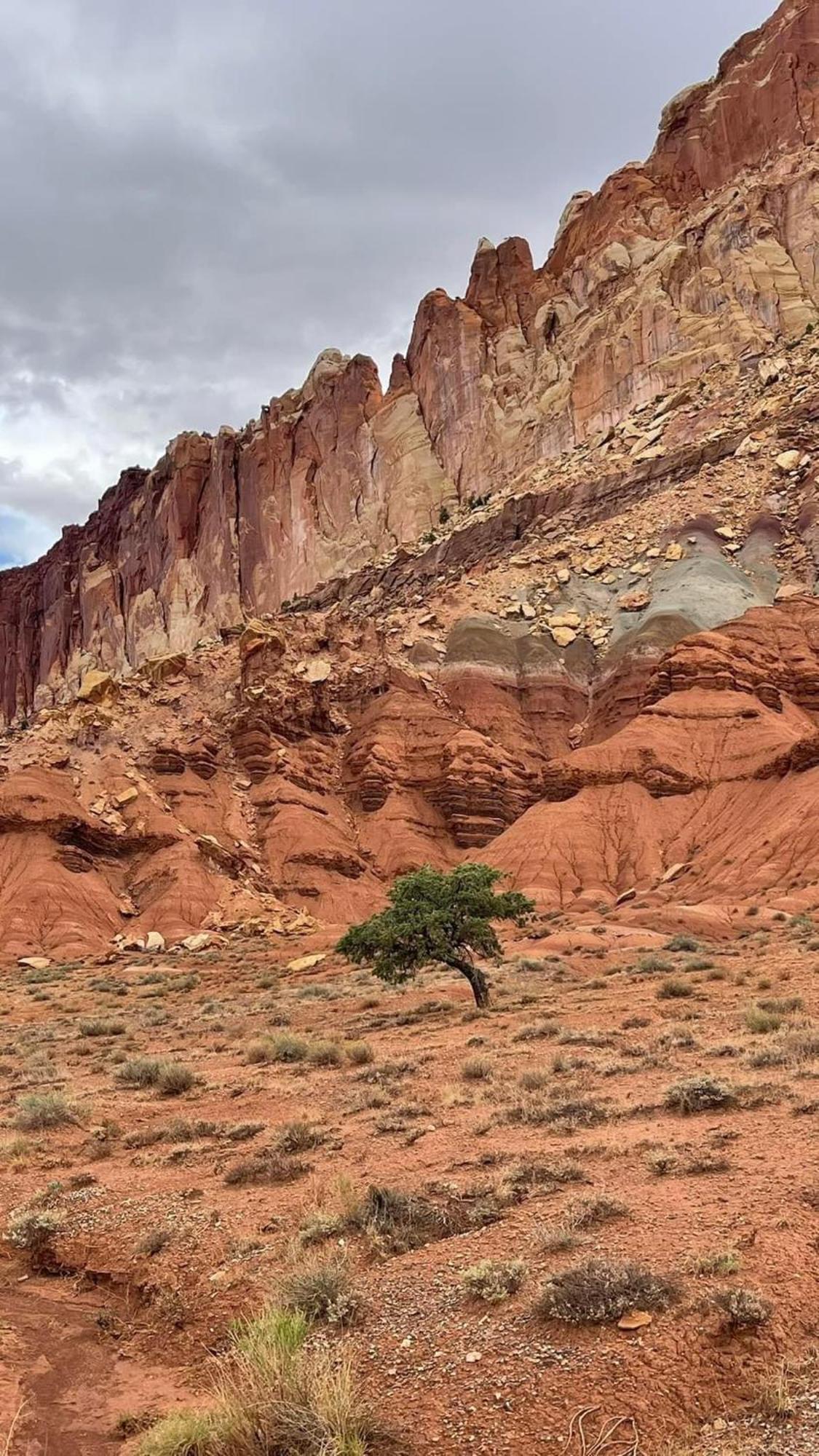 Bryce'S Zion House By Bryce Canyon National Park! Panguitch Exterior foto